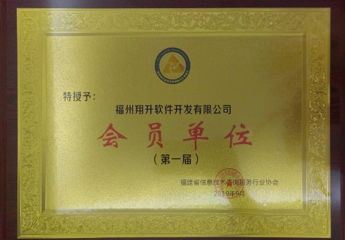 福建省信息技术咨询服务行业协会会员单位证书